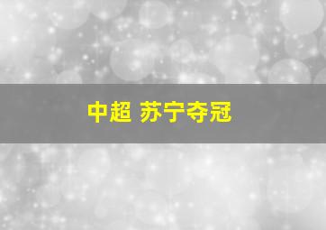 中超 苏宁夺冠